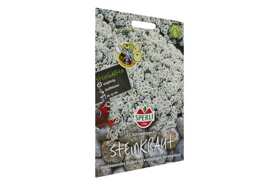 Image of Steinkraut Schneeteppich bei JUMBO