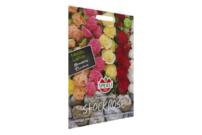 Image of Stockrosen Prachtmischung bei JUMBO