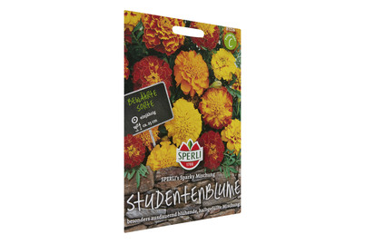 Image of Studentenblumen Sparki MIX bei JUMBO