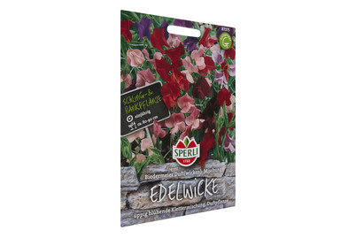 Image of Wicken Biedermeier Duft bei JUMBO