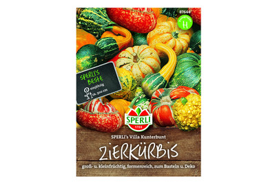 Image of Zierkürbis Villa Kunterbunt bei JUMBO