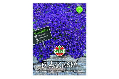 Image of Blaukissen Azzurro bei JUMBO