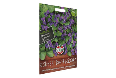 Image of Duftveilchen Echt bei JUMBO