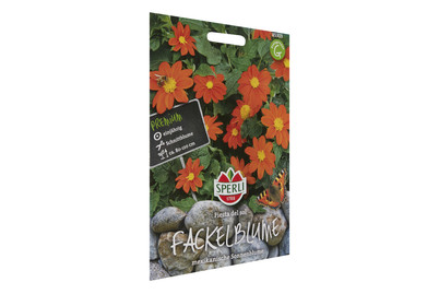 Image of Fackelblume Fiesta DEL SOL bei JUMBO