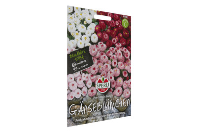 Image of Gänseblümchen Prachtmischung bei JUMBO