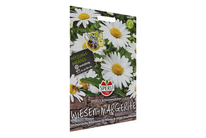 Image of Margeriten Schneeweisschen bei JUMBO