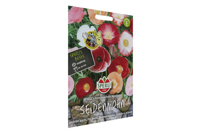 Image of Seidenmohn Sonnenschein bei JUMBO