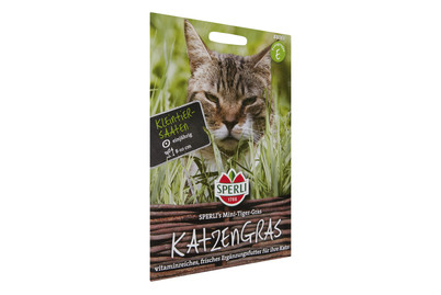 Image of Katzengras Mini-Tiger-Gras bei JUMBO