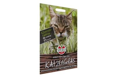 Image of Katzengras Mini-Tiger-Gras