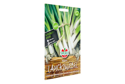 Image of Lauchzwiebel Kaigaro bei JUMBO