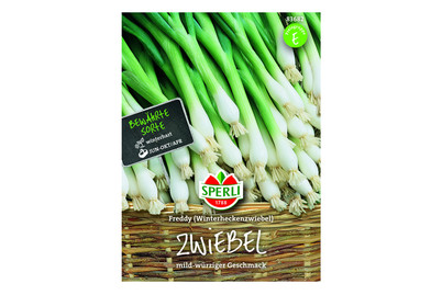 Image of Zwiebeln (Winterheck) Freddy bei JUMBO