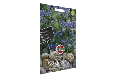 Image of Gurkenkraut Borretsch bei JUMBO