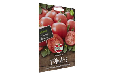 Image of Tomaten Honeymoon bei JUMBO