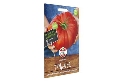 Image of Tomate Gigantomo bei JUMBO