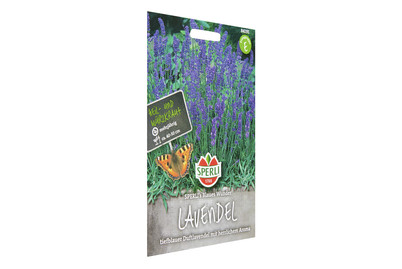 Image of Sperli Lavendel Blaues Wunder bei JUMBO