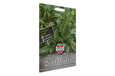 Image of Blutampfer Essbare Staude bei JUMBO