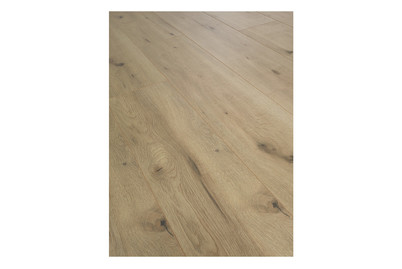 Image of Kronoswiss Laminat 8 MM Artisan Eiche bei JUMBO