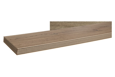 Image of Laminat 8 mm Montreux Eiche bei JUMBO