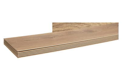Image of Laminat 8 mm Luzern Eiche bei JUMBO