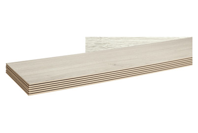 Image of Laminat 8 mm Ascona Eiche bei JUMBO