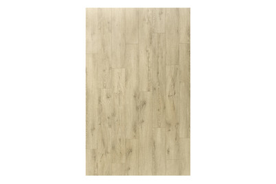 Image of Laminat 8 mm Eiche Morteratsch bei JUMBO