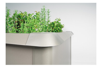 Image of Biohort Schneckenschutz Preston (108x108cm), Stahlblech Hellgrau bei JUMBO