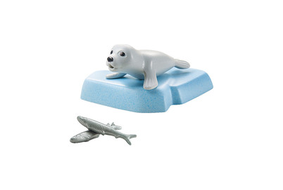 Image of Playmobil 71070 Junger Seehund