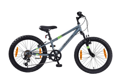 Image of California Jugend-MTB Rocket 20 bei JUMBO