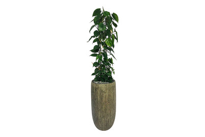 Image of Premium Hydro Säule UT Ø40cm bei JUMBO