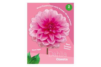Image of Dahlie Onesta