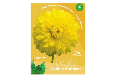Image of Dahlie Golden Emblem