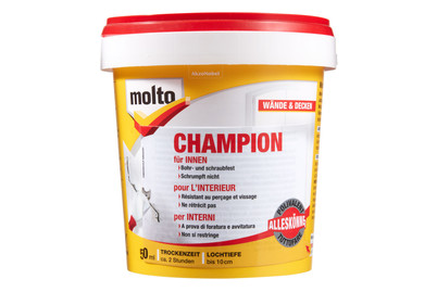 Image of Molto Spachtelmasse Molto Alleskönner Champion bei JUMBO