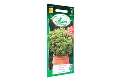 Image of Mauser Griechischer Basilikum bei JUMBO