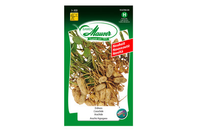 Image of Mauser Erdnüsse bei JUMBO