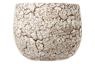 Image of Topf rund Thomas Ø16xH14CM bei JUMBO