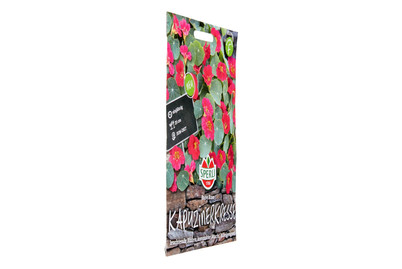 Image of Kapuzinerkresse Baby Rose bei JUMBO