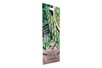 Image of Sperli Rosenkohl Roodnerf bei JUMBO