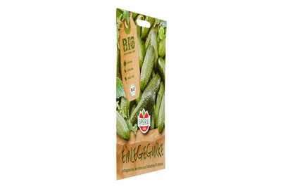 Image of BIO Einlegegurke Diamant bei JUMBO