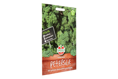 Image of Sperli Petersilie Grüne Perle bei JUMBO
