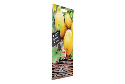 Image of Zucchini Midas, F1 bei JUMBO