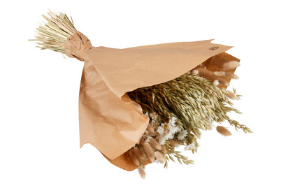 Image of Strauss Trockenblume Weiss 55Cm bei JUMBO