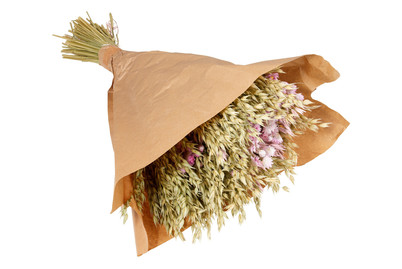 Image of Strauss Trockenblume Rosa 55Cm bei JUMBO