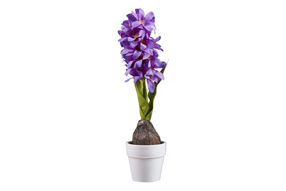 Image of Hyazinthe Polyester Topf 25Cm 3Ass. bei JUMBO