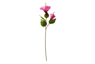 Image of Hibiskus Polyester Rosa 71Cm bei JUMBO