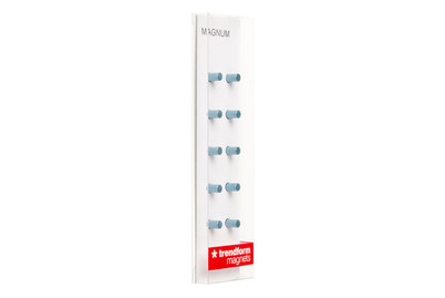 Image of Magnete Magnum 10Er SET Blau bei JUMBO