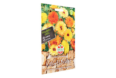 Image of Sperli Ringelblume Viva bei JUMBO