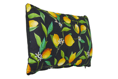 Image of Kissen Donna Schwarz/Gelb 30X50Cm bei JUMBO