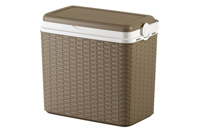 Image of Kühlbox Rattan grau bei JUMBO