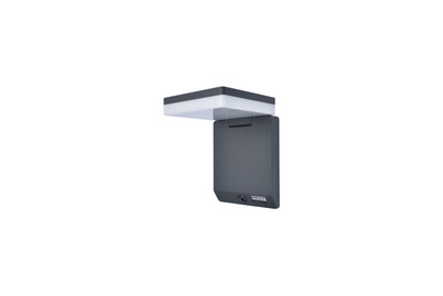 Image of Solarleuchte Mooze schwarz mit Bewegungsmelder, LED bei JUMBO