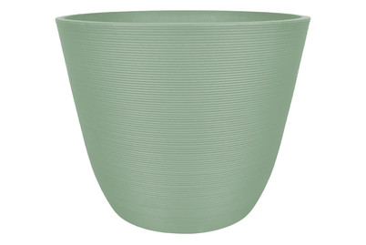 Image of Pflanztopf Eiger Salvia 40X33 bei JUMBO